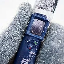 тигон14.jpg тигон14.jpg