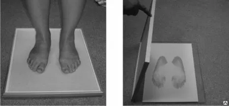 Плантограф бытовой